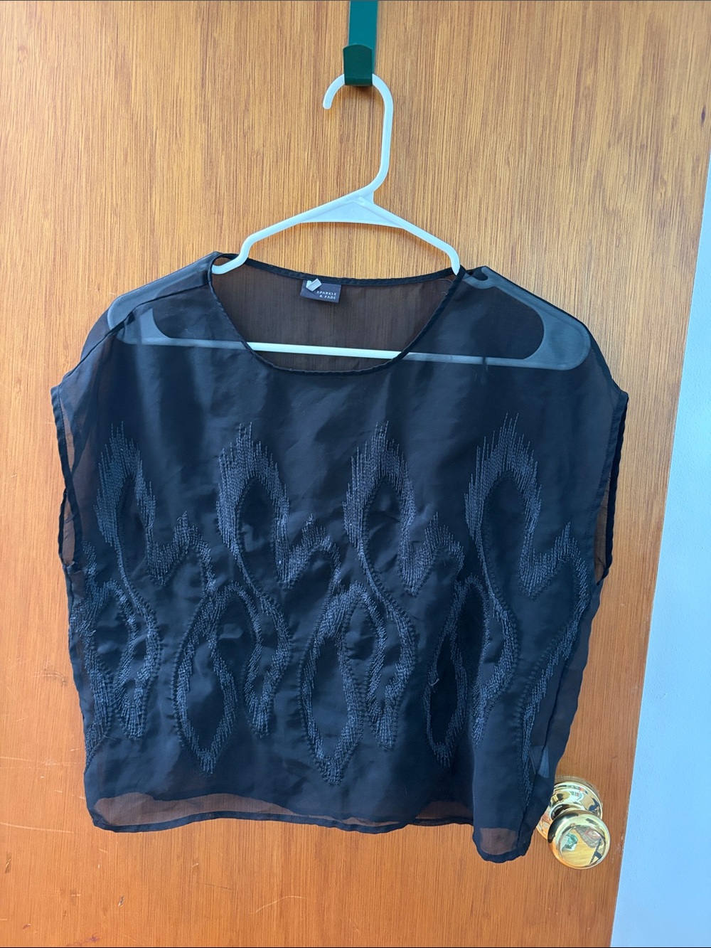 Urban Outfitters Black Sheer Embroidered sheath like Blouse